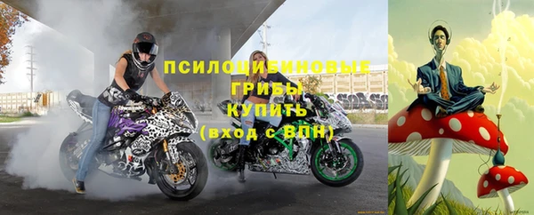 прущая мука Вязники