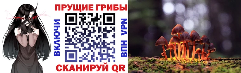 купить наркотики цена  Севастополь  Псилоцибиновые грибы мицелий 